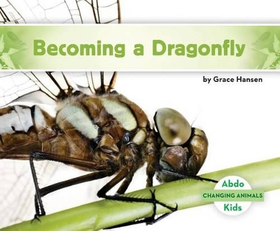 Book cover for Becoming a Dragonfly