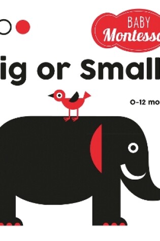 Cover of Big or Small?