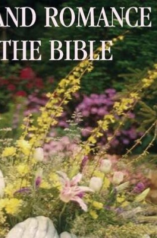Cover of Love and Romance in the Bible