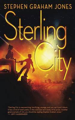Book cover for Sterling City
