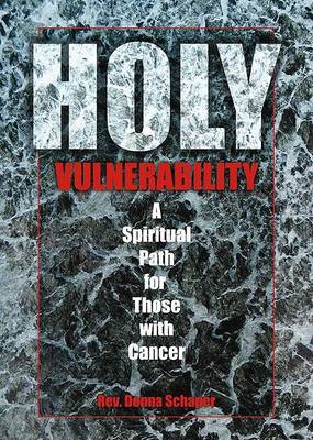 Book cover for Holy Vulnerability