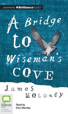 Book cover for Bridge to Wiseman's Cove