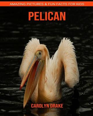 Book cover for Pelican