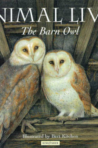 Cover of Barn Owl