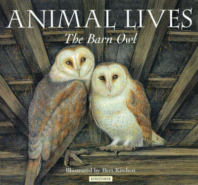 Book cover for Barn Owl