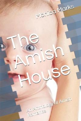 Book cover for The Amish House