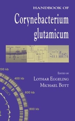 Book cover for Handbook of Corynebacterium glutamicum