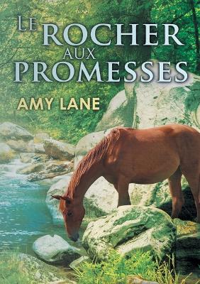 Book cover for Le Rocher Aux Promesses