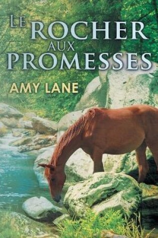 Cover of Le Rocher Aux Promesses