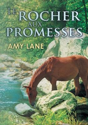 Book cover for Le Rocher Aux Promesses