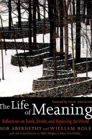 Cover of The Life Of Meaning