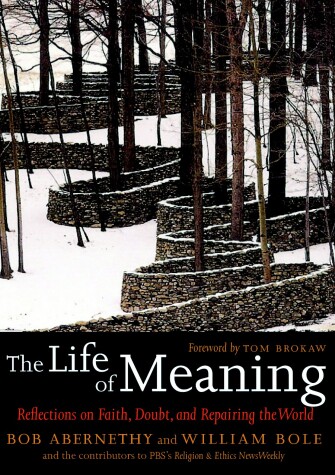 Book cover for The Life Of Meaning