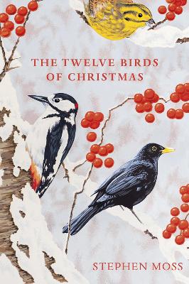 Book cover for The Twelve Birds of Christmas