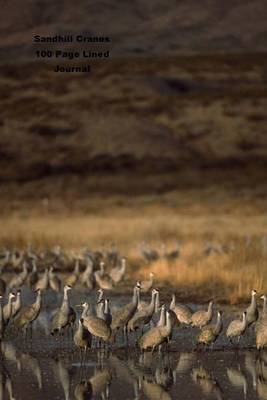 Book cover for Sandhill Cranes 100 Page Lined Journal