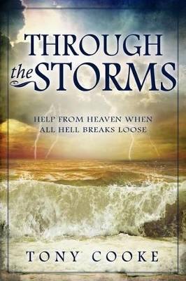 Book cover for Through The Storms