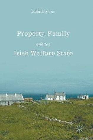 Cover of Property, Family and the Irish Welfare State