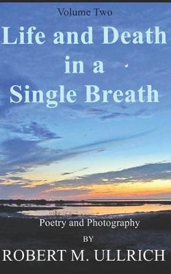 Book cover for Life and Death in a Single Breath