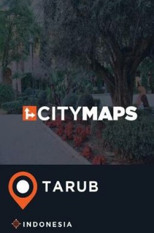 Cover of City Maps Tarub Indonesia