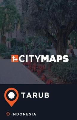 Book cover for City Maps Tarub Indonesia