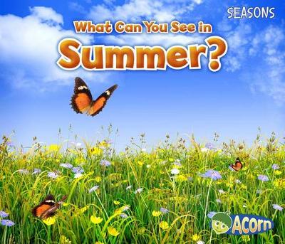 Book cover for What Can You See in Summer? (Seasons)