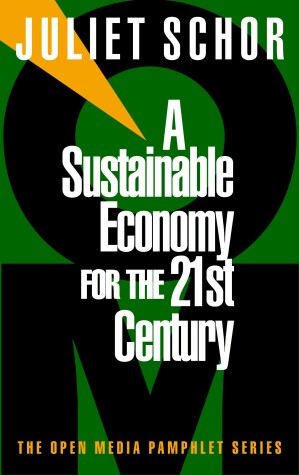 Cover of A Sustainable Economy for the 21st Century