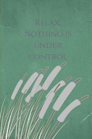 Cover of Relax, nothing is under control