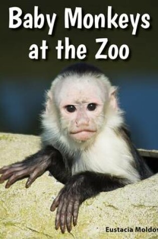 Cover of Baby Monkeys at the Zoo