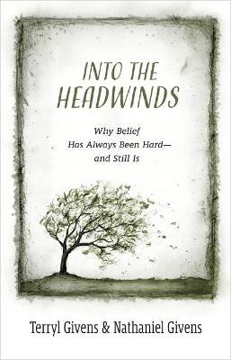 Book cover for Into the Headwinds