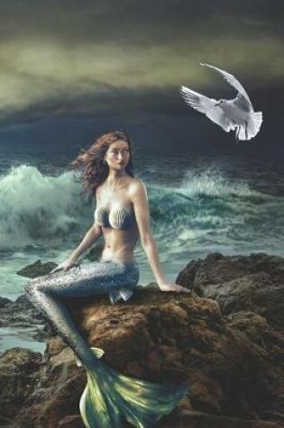 Cover of Mermaid on the Rocks Notebook