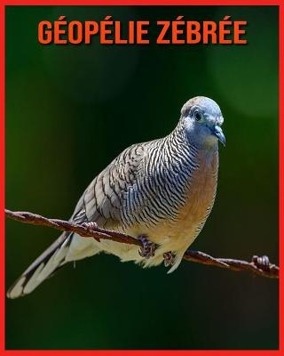 Book cover for Géopélie Zébrée