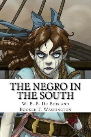 Cover of The Negro in the South