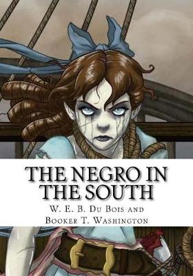 Book cover for The Negro in the South