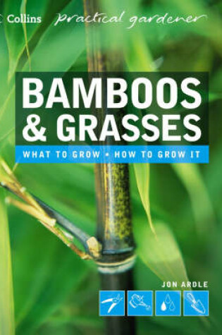 Cover of Bamboos and Grasses