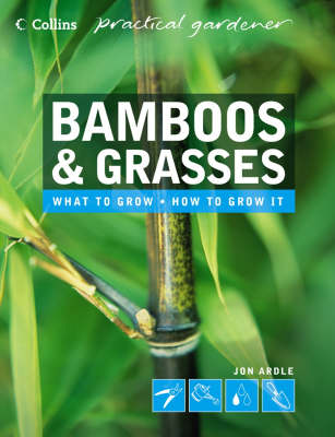 Cover of Bamboos and Grasses