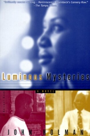 Cover of Luminous Mysteries