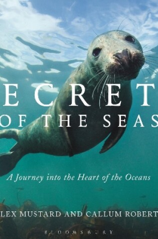 Cover of Secrets of the Seas