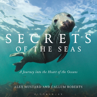Book cover for Secrets of the Seas