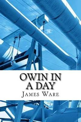 Book cover for OWIN In a Day