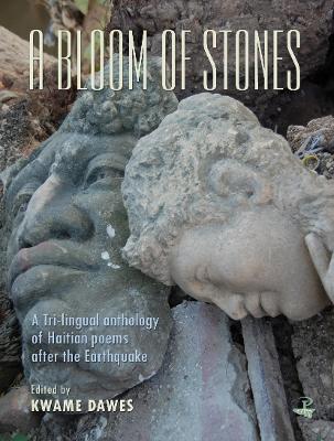 Book cover for A Bloom of Stones