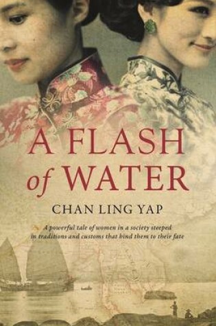 Cover of A Flash of Water