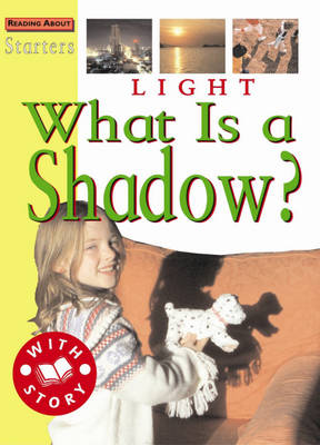 Book cover for Light