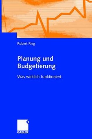 Cover of Planung Und Budgetierung