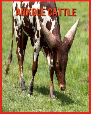 Book cover for Ankole Cattle