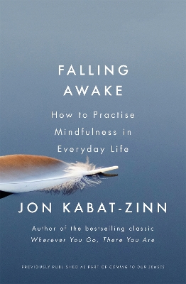 Book cover for Falling Awake
