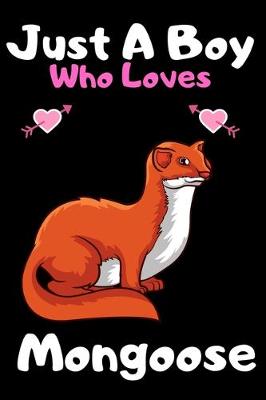 Book cover for Just a boy who loves mongoose