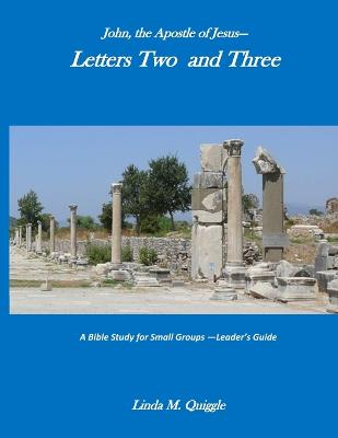 Book cover for John, the Apostle of Jesus-Letters Two and Three