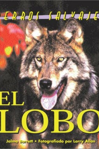 Cover of Perros Salvajes