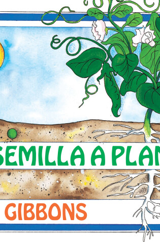 Cover of De semilla a planta