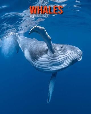 Book cover for Whales