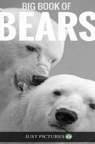 Cover of Bears